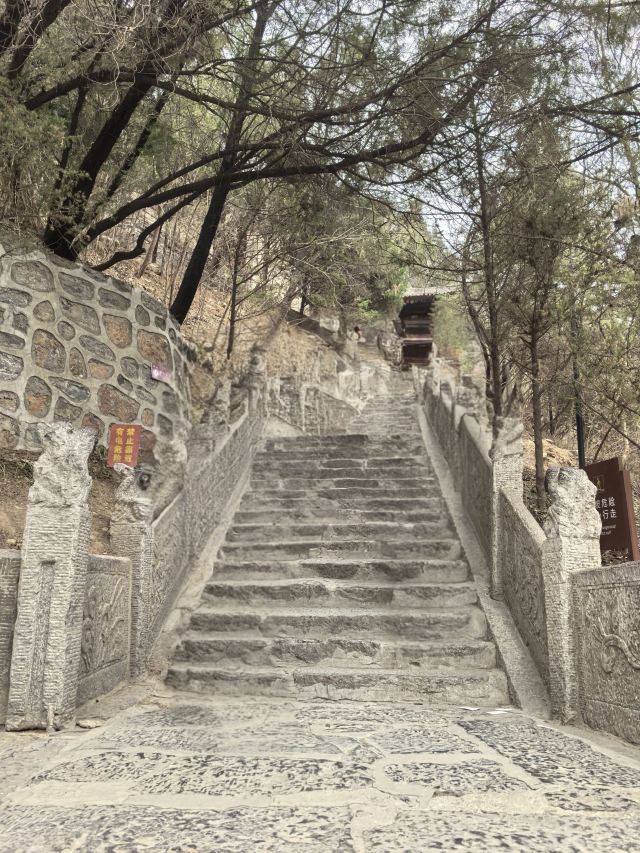 药王山旅行图片 1
