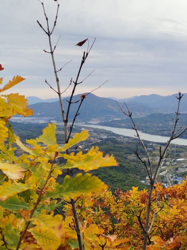 朱雀山国家森林公园旅行图片 1