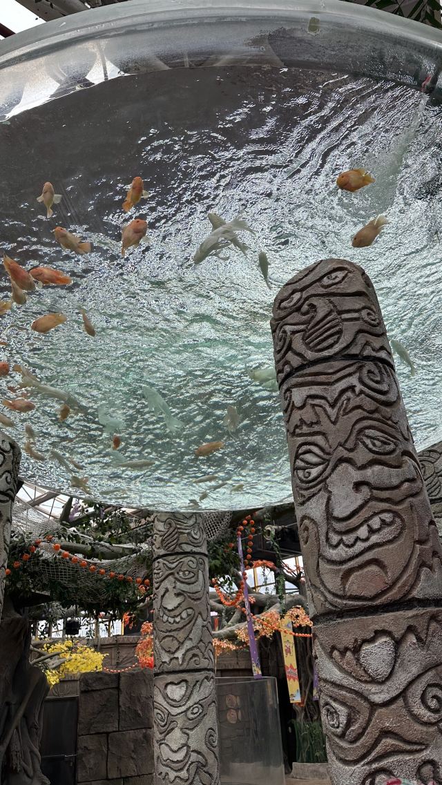 长沙湘江海洋王国旅行图片 1