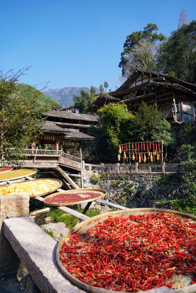 林坑古村落旅行图片 1