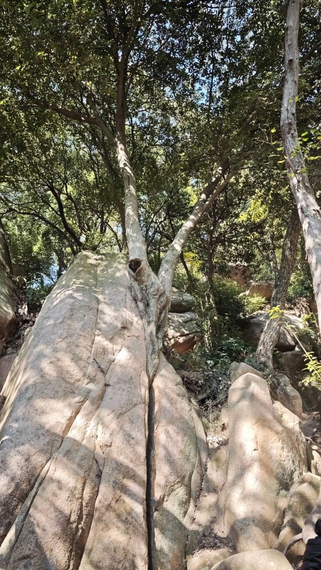 天平山风景名胜区旅行图片 1
