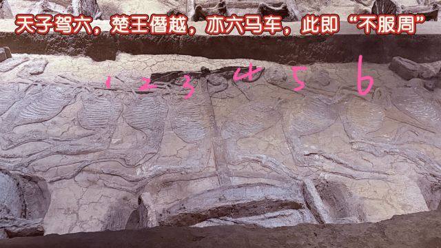 楚王车马阵景区旅行图片 2