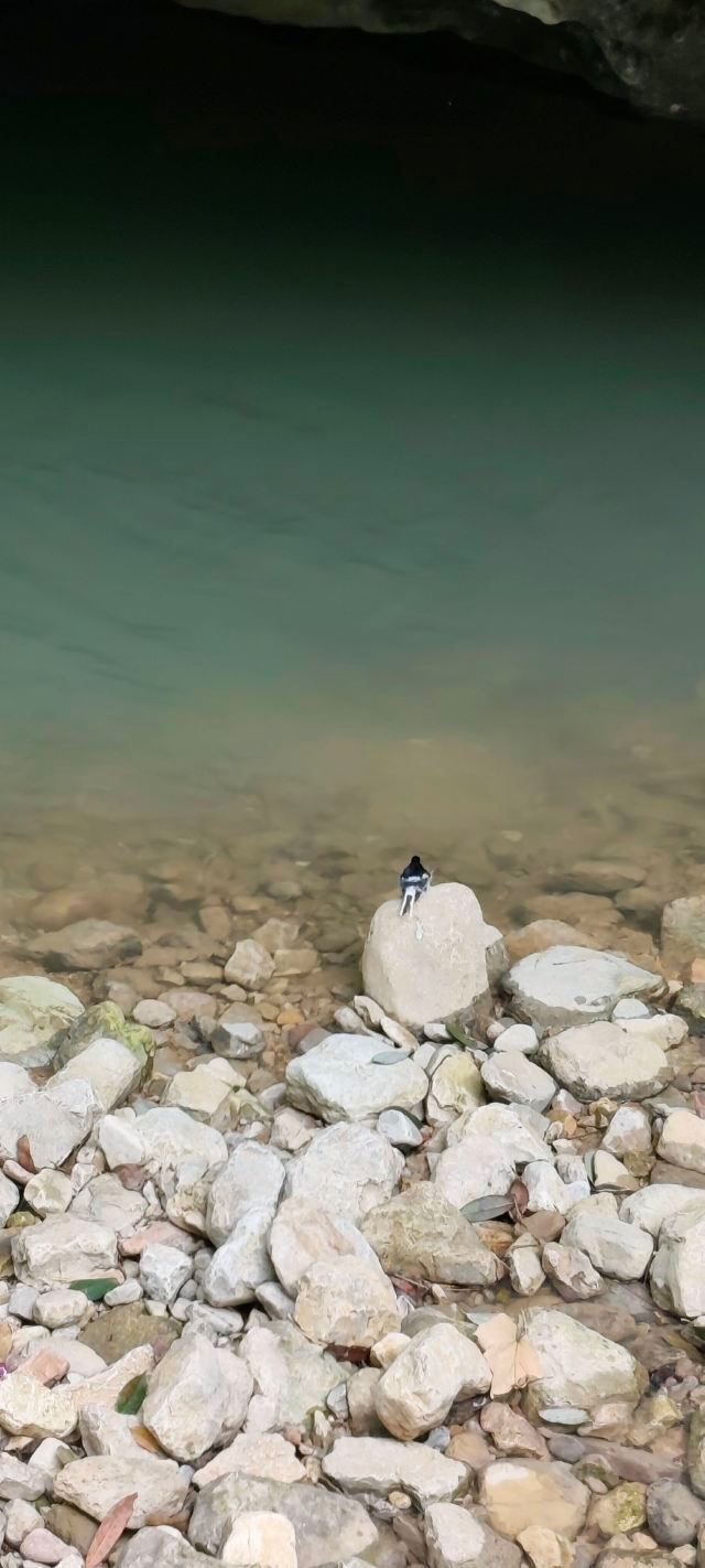 张家界大峡谷旅行图片 1