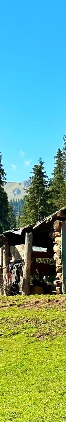 库尔德宁景区-巩留-YoYo_2U1L0U8P