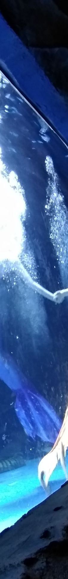 呼和浩特-YoYo_4Q2G9A7C