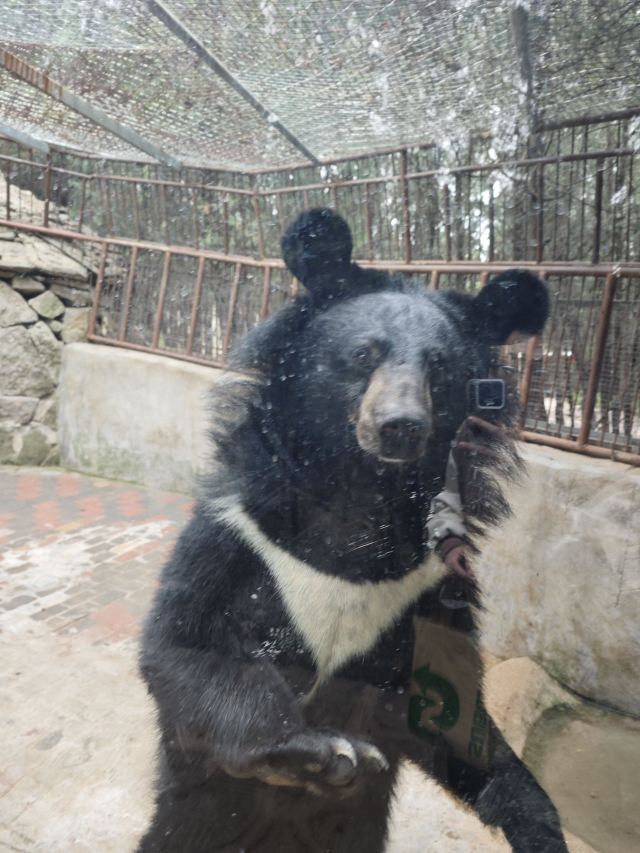 宝山前野生动物园旅行图片 1