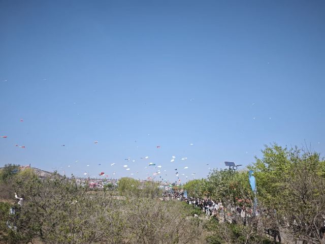 世界风筝公园旅行图片 1