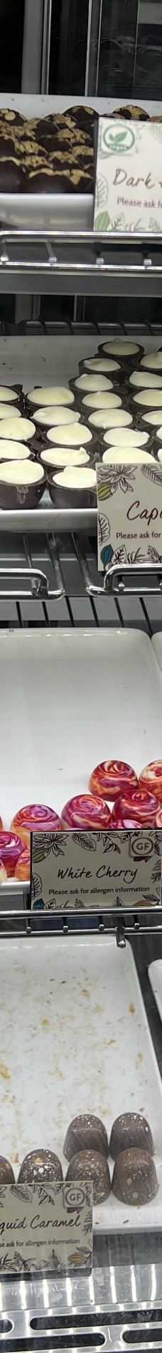 约克巧克力工厂-约克-YoYo_0N8R9Q4Y