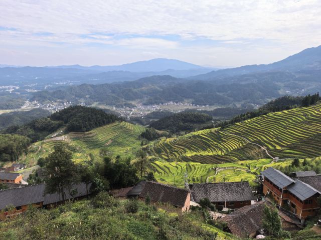 紫鹊界梯田景区旅行图片 1