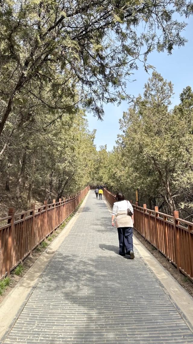 乾陵景区旅行图片 8