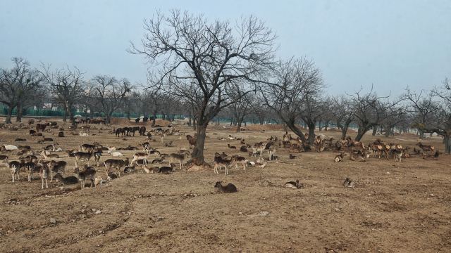西安秦岭野生动物园旅行图片 1