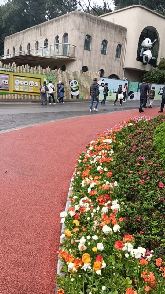 重庆动物园旅行图片 3