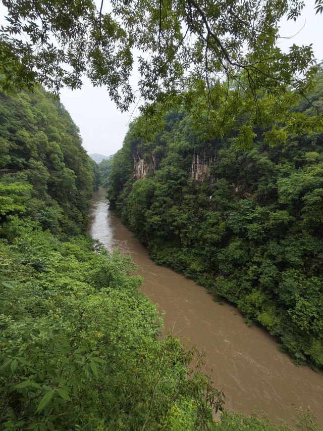 洒金公园旅行图片 2