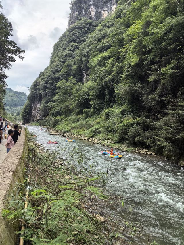 南江大峡谷景区旅行图片 4
