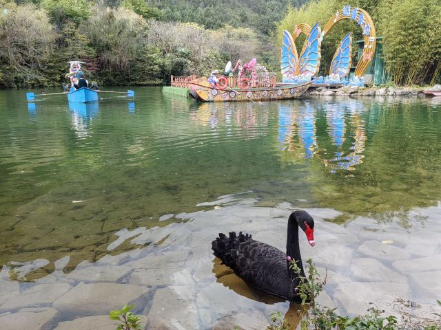 蝴蝶泉旅行图片 8