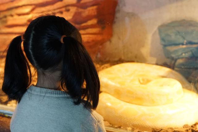 皖南野生动物园旅行图片 6