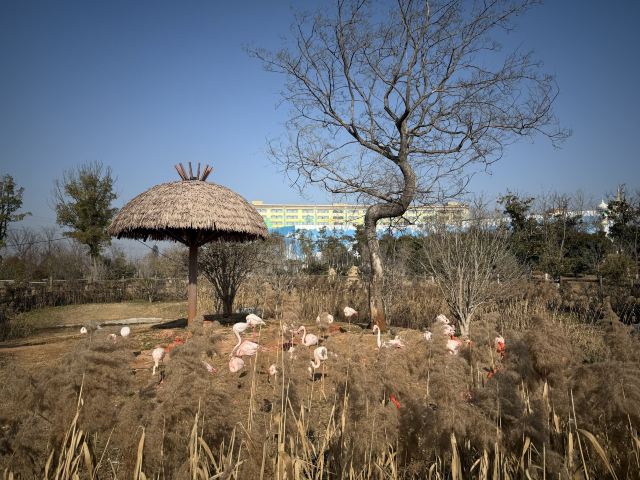 南通森迪旅游度假区旅行图片 2