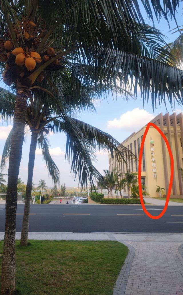 春光椰子王国旅行图片 4