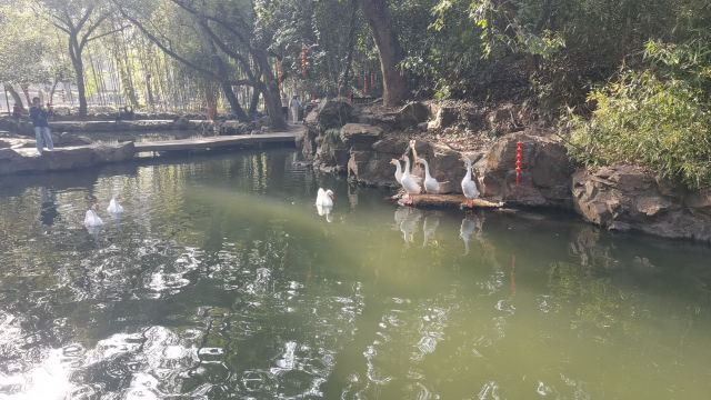 兰亭景区旅行图片 2