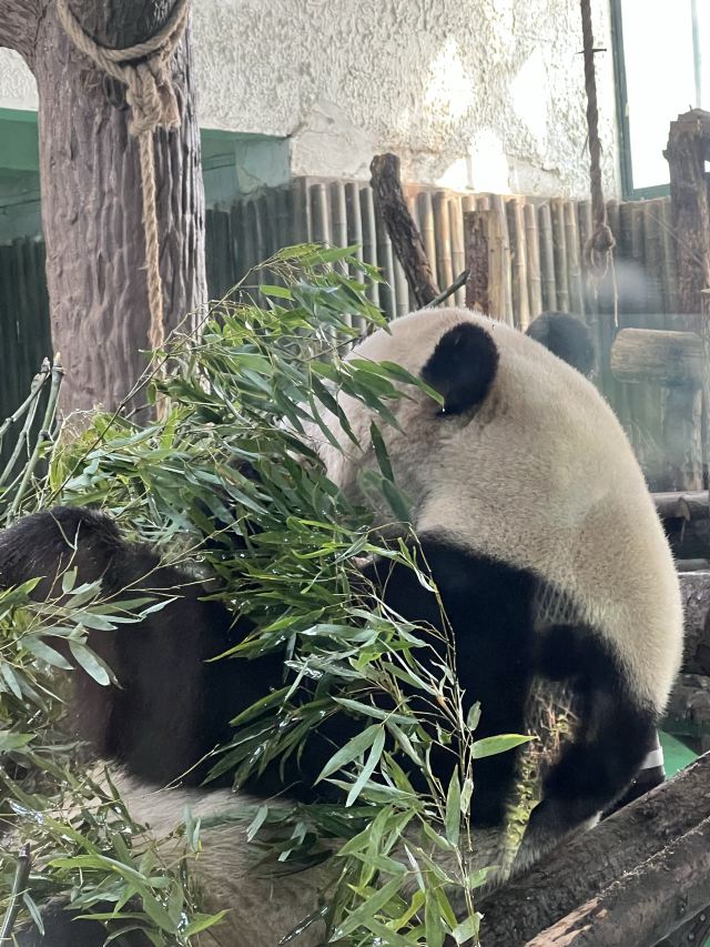 上海动物园旅行图片 3