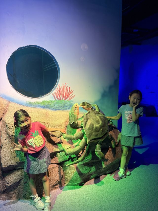 呼和浩特海洋馆旅行图片 2