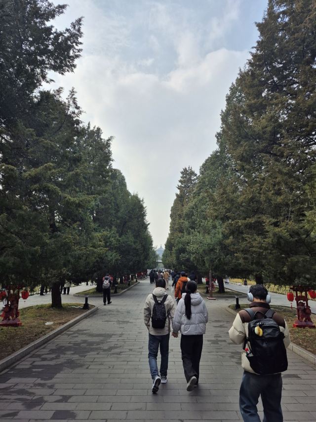 天坛公园旅行图片 3