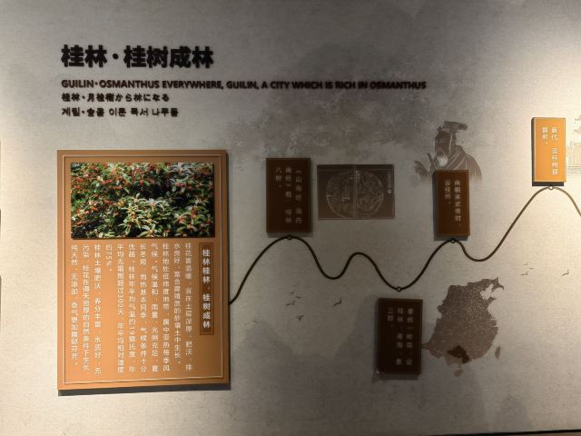 桂花公社景区旅行图片 4
