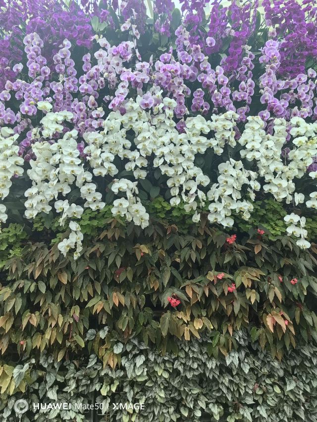 石家庄植物园旅行图片 1