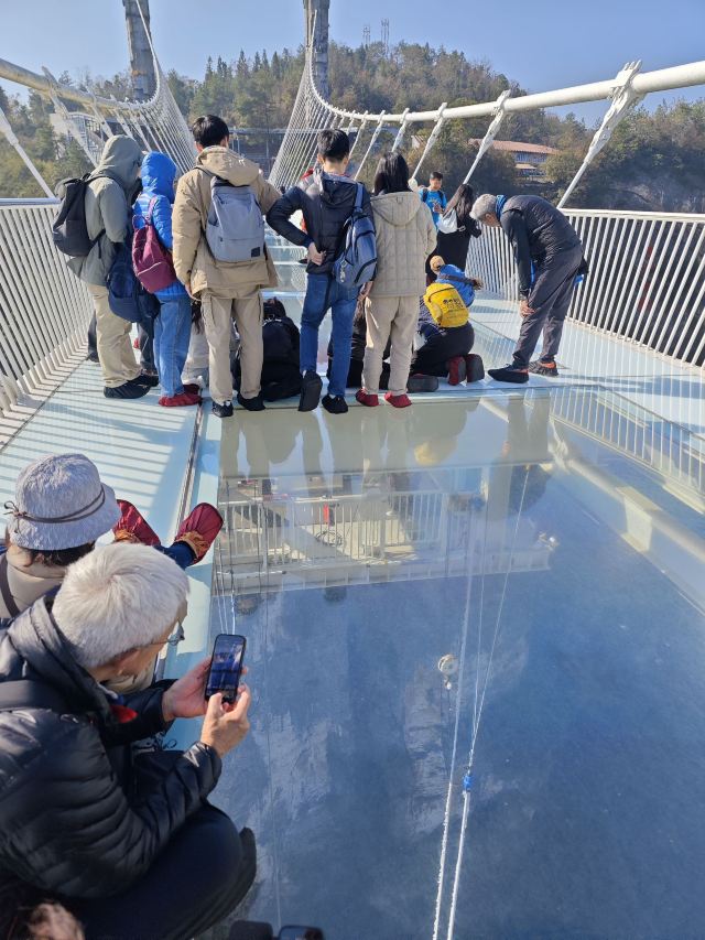 张家界大峡谷飞拉达旅行图片 1