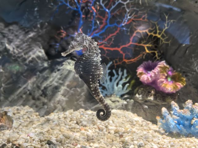 上海长风公园旅行图片 3