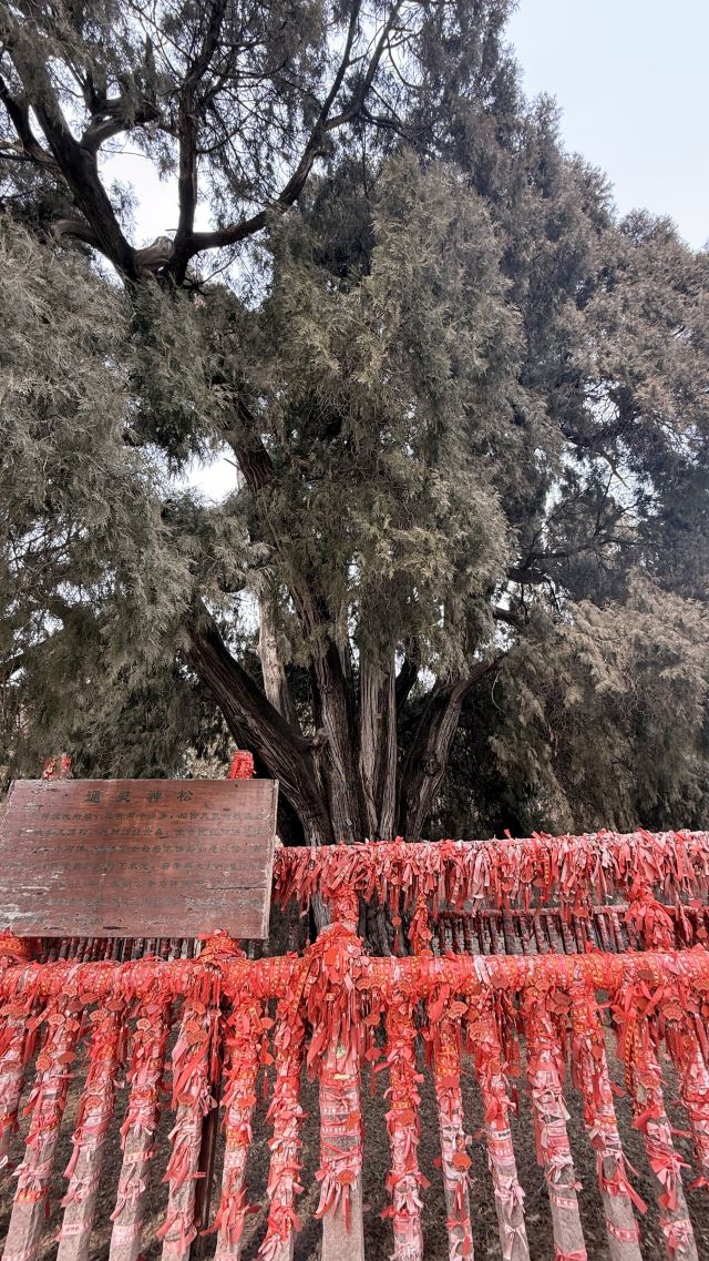 四门塔旅行图片 3