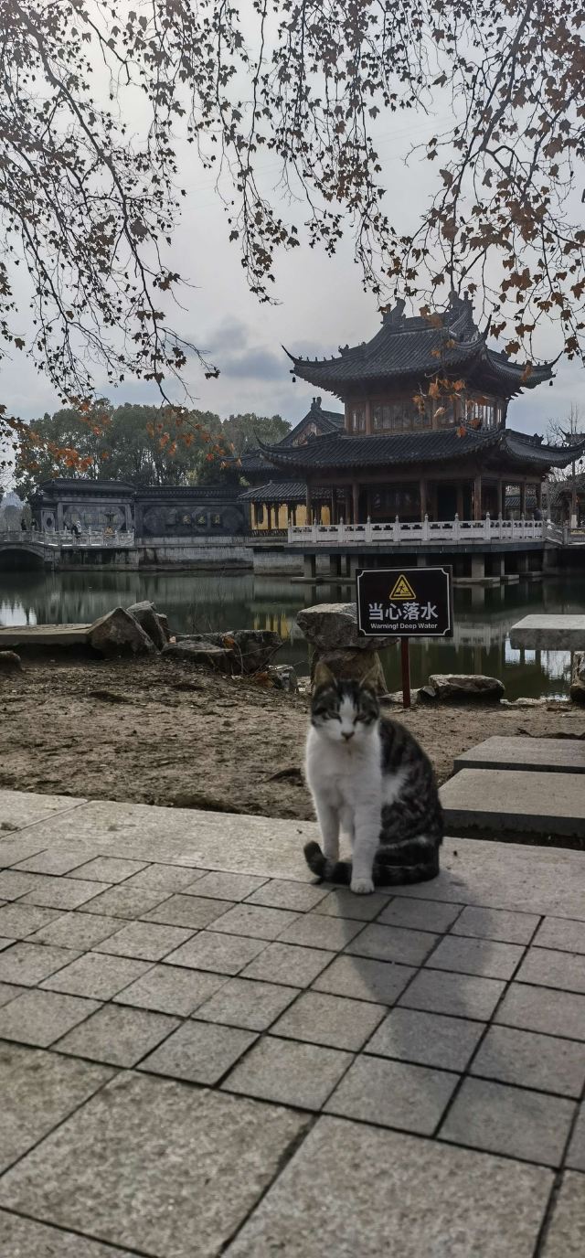焦山景区旅行图片 2