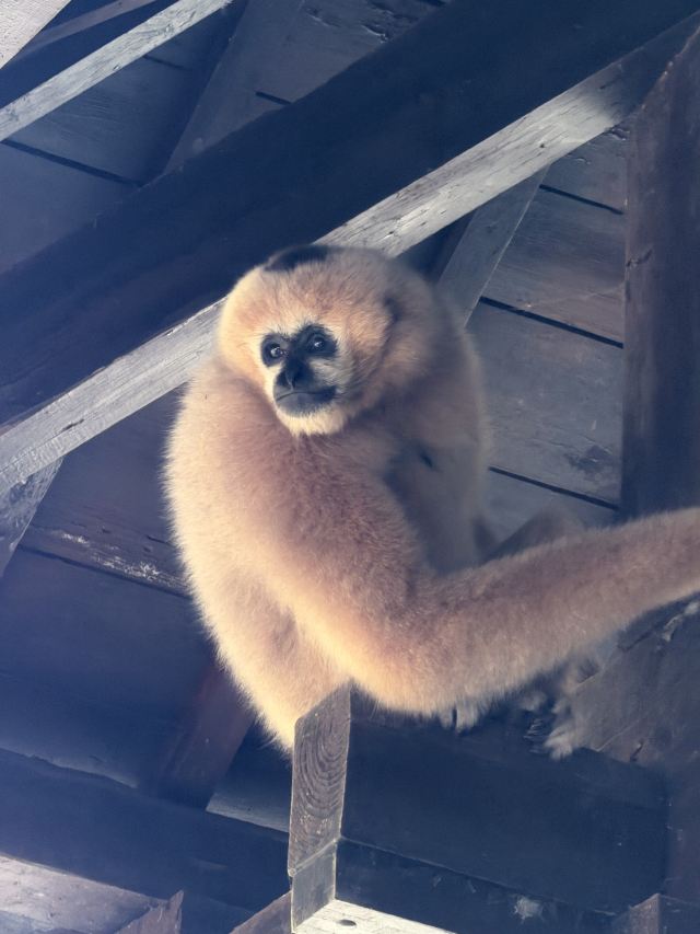 普洱国家公园犀牛坪景区旅行图片 2