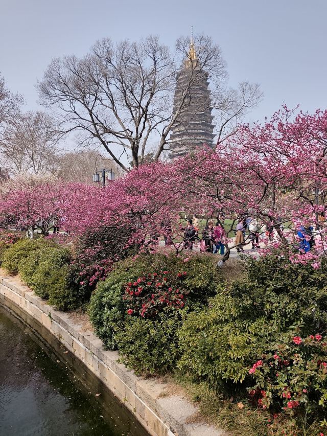 天宁禅寺旅行图片 3