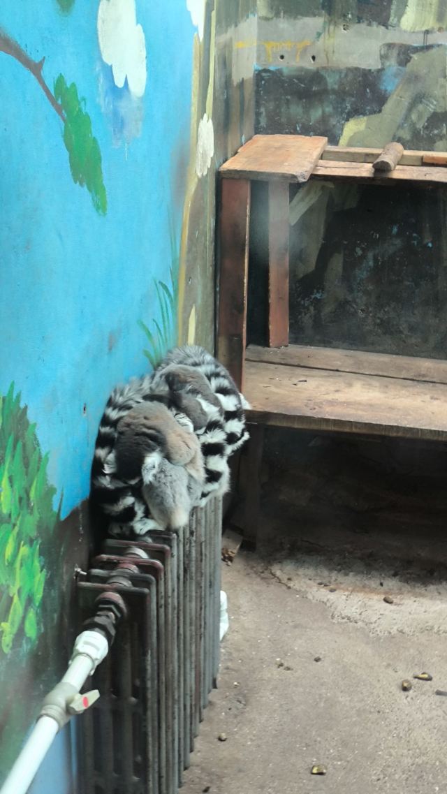 西宁野生动物园旅行图片 4