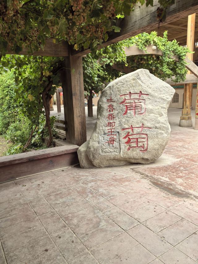 吐鲁番郡王府旅行图片 5
