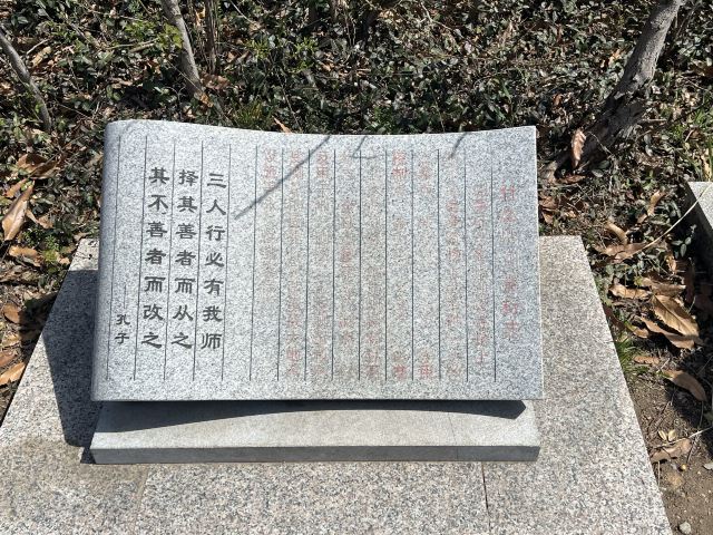 孔望山旅行图片 9