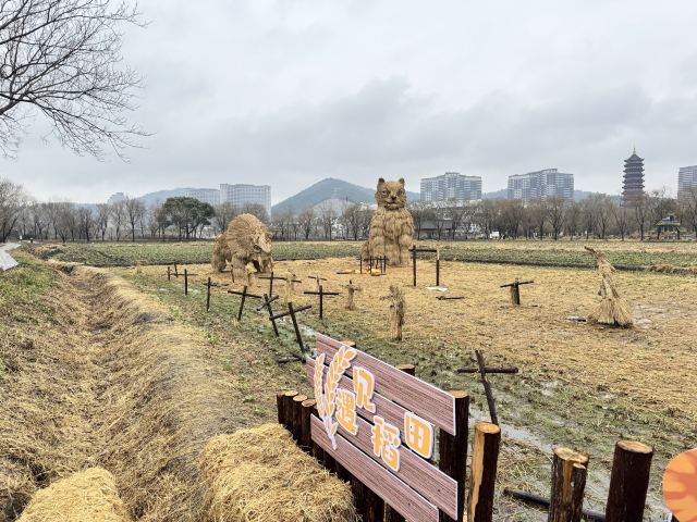 长兴太湖图影湿地文化园-观景塔旅行图片 6