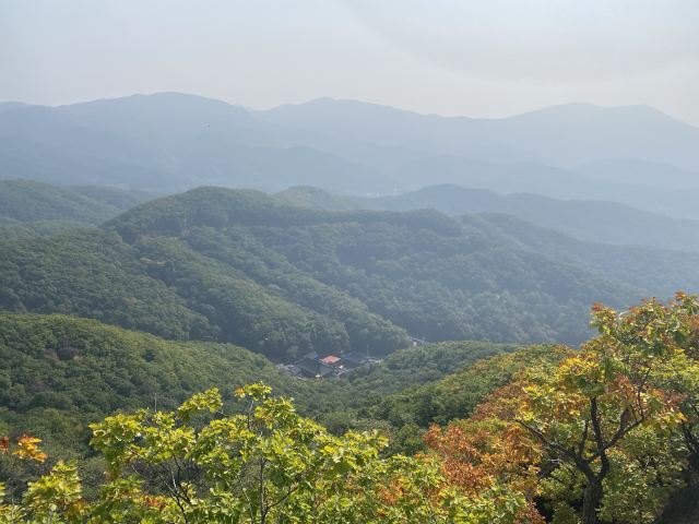 朱雀山国家森林公园旅行图片 4