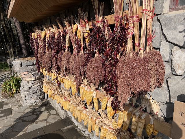 花溪夜郎谷旅行图片 1