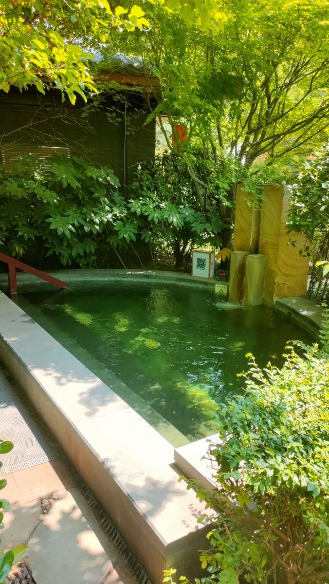 西安临潼悦椿温泉旅行图片 5