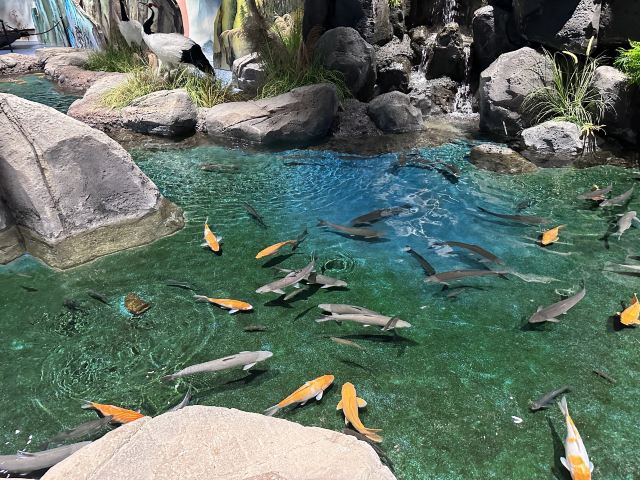 中国·江豚湾旅行图片 2