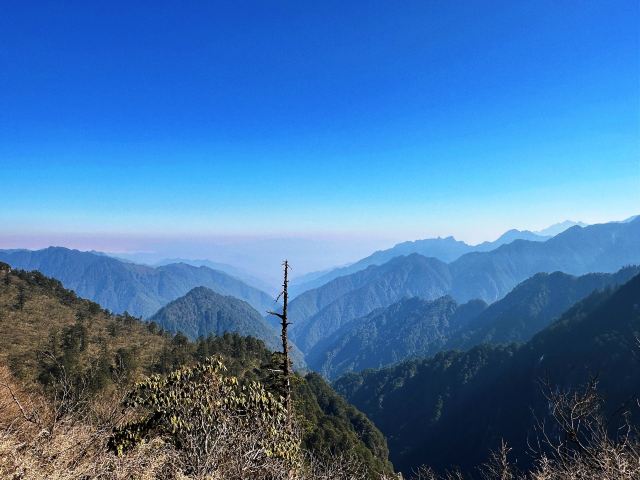 王岗坪旅游景区-露营区旅行图片 2