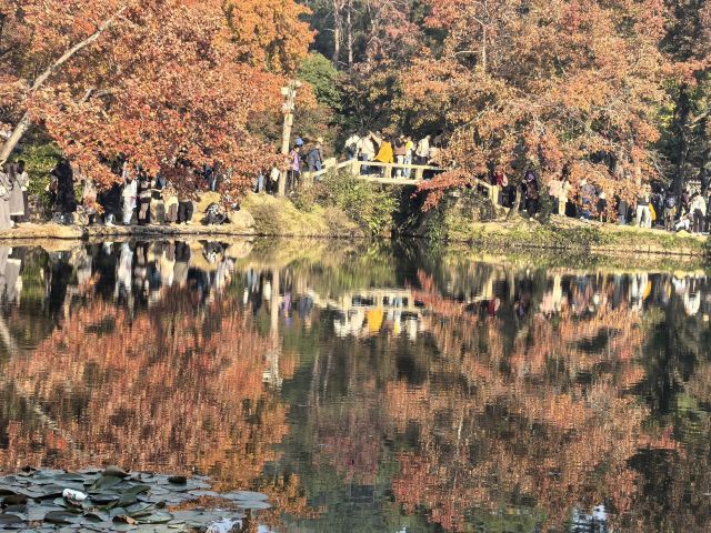 天平山风景名胜区旅行图片 3
