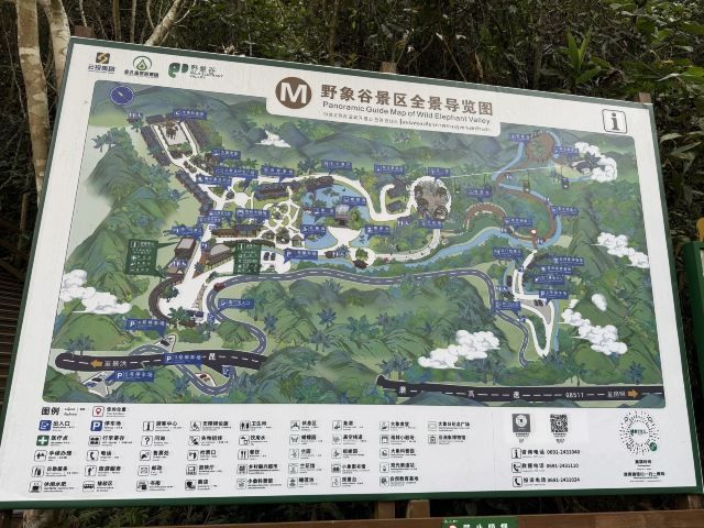 野象谷景区旅行图片 1