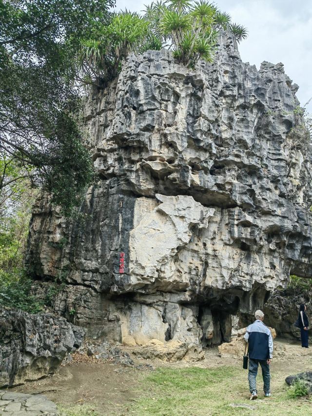 石景林景区旅行图片 2