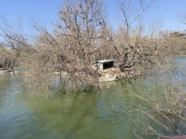 上海动物园旅行图片 7