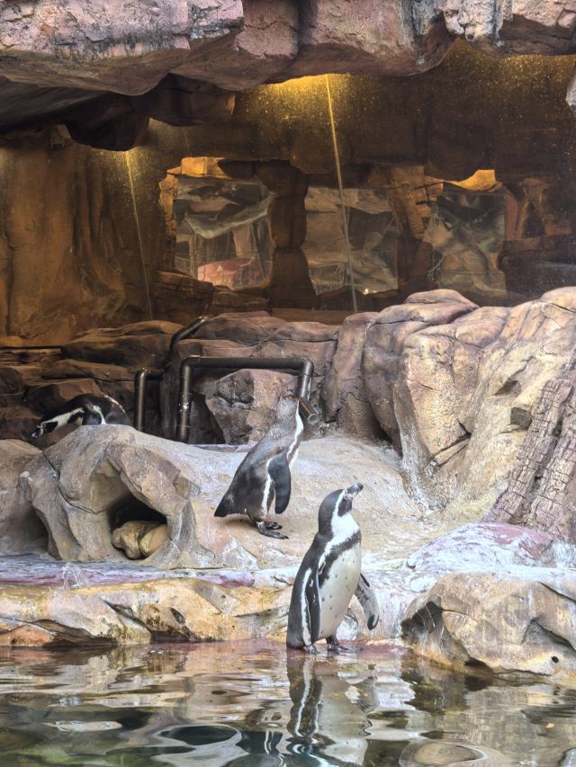 长鹿旅游休博园旅行图片 1