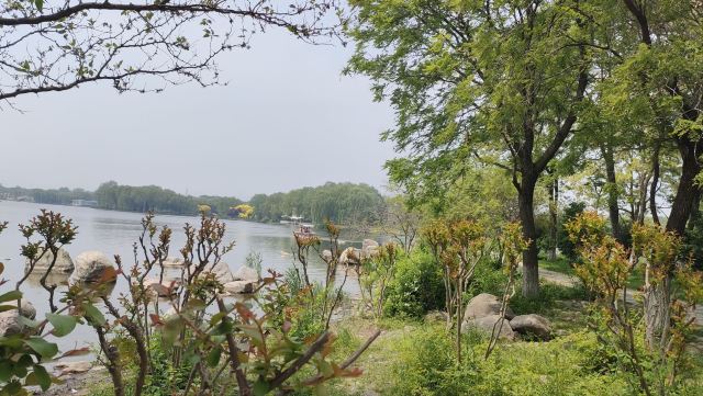 石家庄植物园旅行图片 3