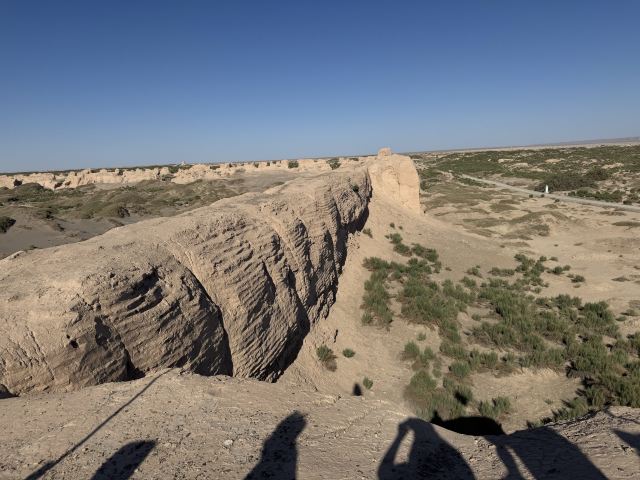 锁阳城遗址旅行图片 1